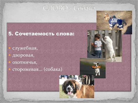 Слово "собака" - презентация онлайн