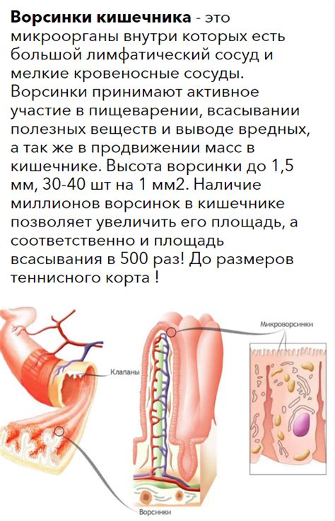 Ламинорм: цена лимфо геля, отзывы на препарат