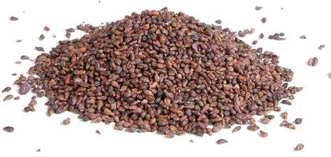 Grape Seed Dry (Thailand Manufacturer) - Grain - Agricultural Products ...