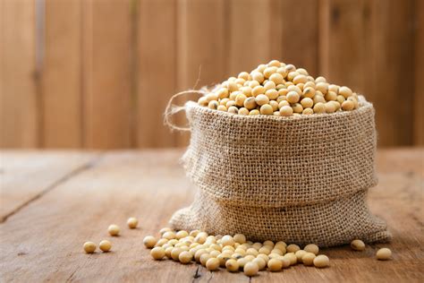 Soya | Hygiena