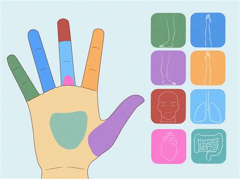Hand Reflexology Charts: Reflexology Points, Techniques, & More