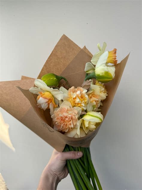 Daffodil bulbs 2025 – West Seattle Flower Farm