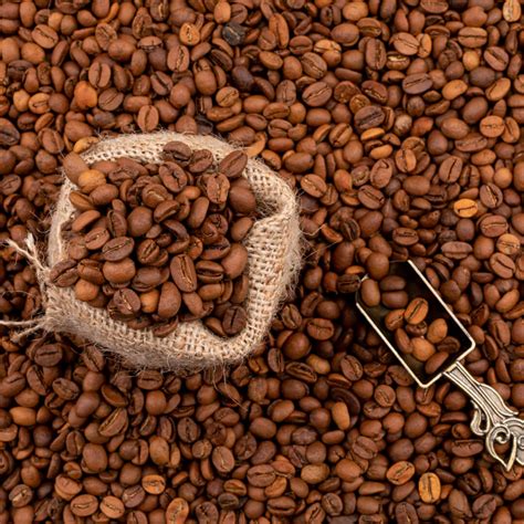 Coffee Bean – Dibali Nature