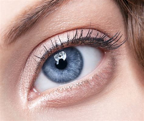 Different Eye Colors In Each Eye