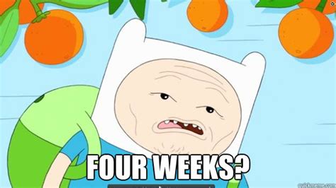 Four weeks? - Four Weeks Finn - quickmeme