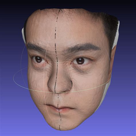 GitHub - KeeganRen/FaceReconstruction: Facial Landmark Detection and