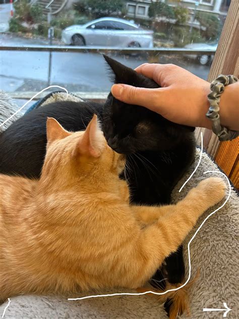 Twice Sold Tales | Gallery posted by Haley | Lemon8