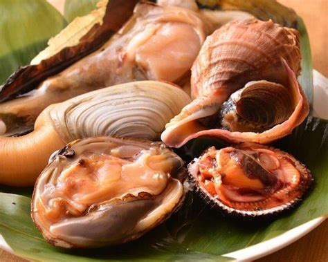 Jenis Kerang Laut Yang Dilindungi - 53+ Koleksi Gambar