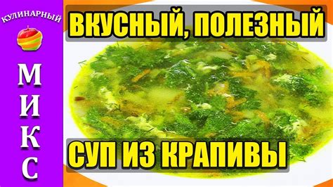 Суп из крапивы с яйцом. Полезный и вкусный рецепт супа! 🌿🍲 - YouTube