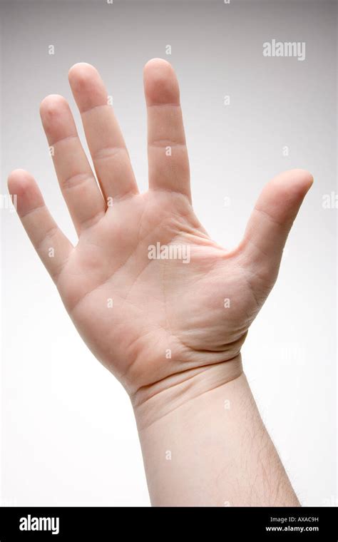 hand   res stock photography  images alamy