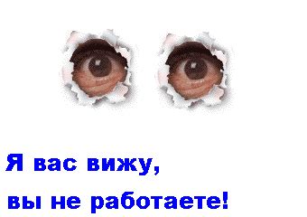 Я Вас вижу, Вы не работаете! Веселые картинки - ДляВас.ru