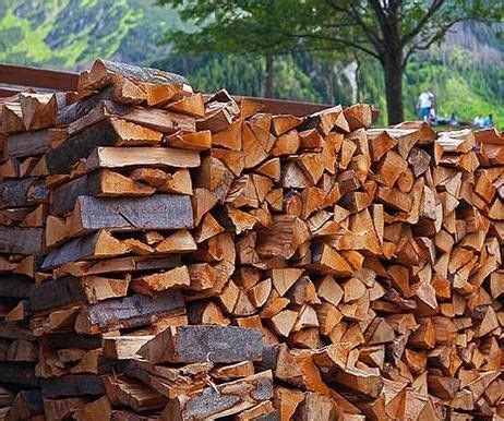 Продам дрова твердих порід дерева | Firewood, Wood