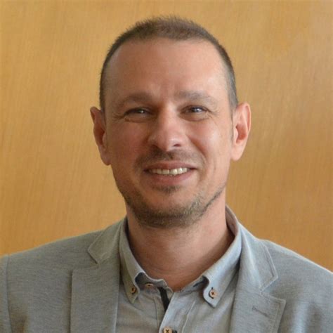 Slobodan Mitrovic - Full professor - Faculty of Engineering, University ...