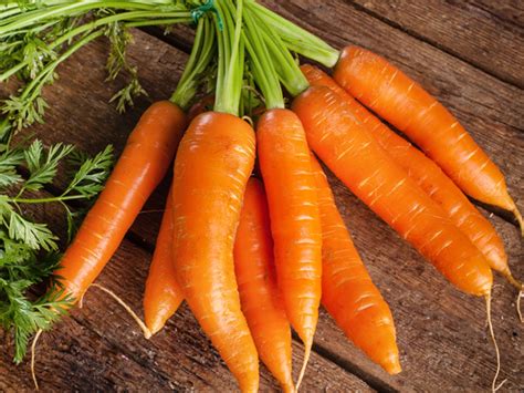 Cenoura É Legumes Ou Verduras - Cenoura é Verdura Ou Legumes - RETOEDU