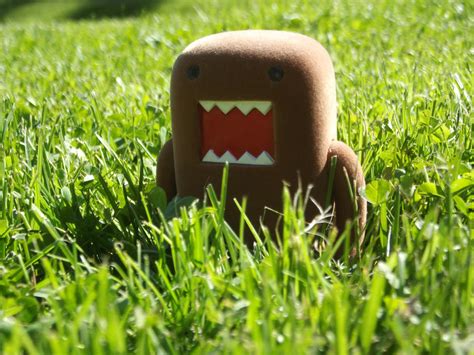 Domo-Kun by Kiivih on DeviantArt