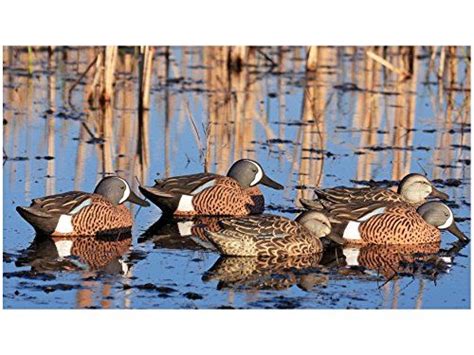 Hunting- GHG Pro-Grade Pre-Texas Rigged Blue Wing Teal Duck Decoy Pack ...