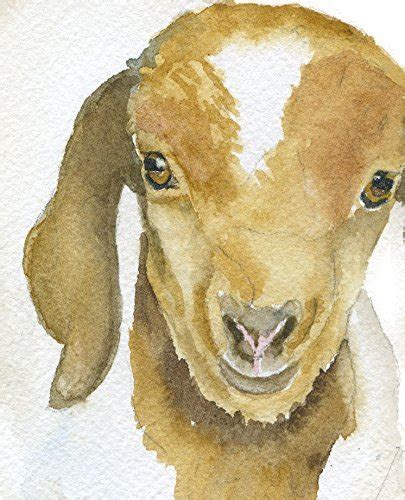 Goat Watercolor at PaintingValley.com | Explore collection of Goat ...