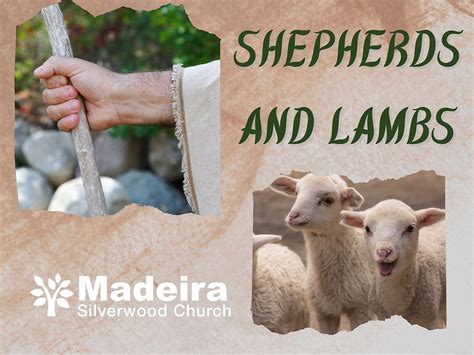 Shepherds and Lambs