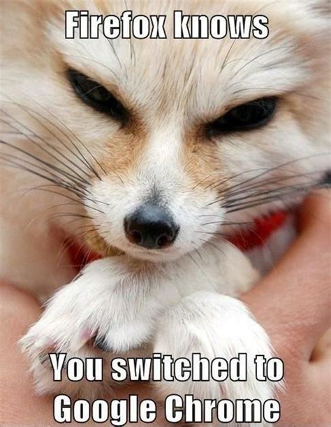 Funny Fox Quotes - ShortQuotes.cc