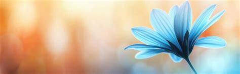blue flower  blurred background premium ai generated image