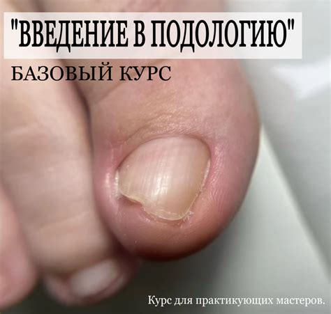 Введение в подологию — 4 дня