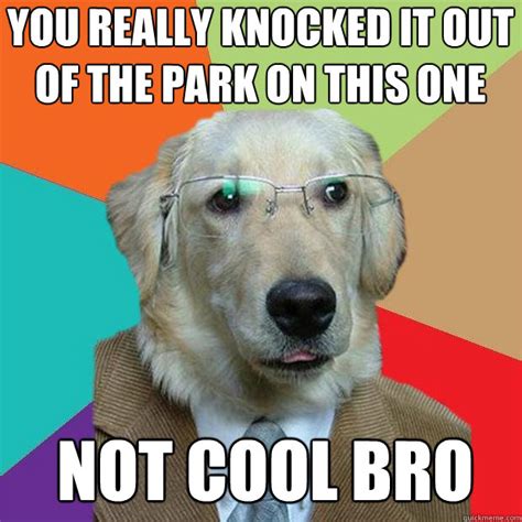 you really knocked it out of the park on this one not cool bro - Business Dog - quickmeme