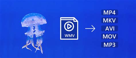 WMV – Convert WMV to and from MP4/MOV and Play WMV