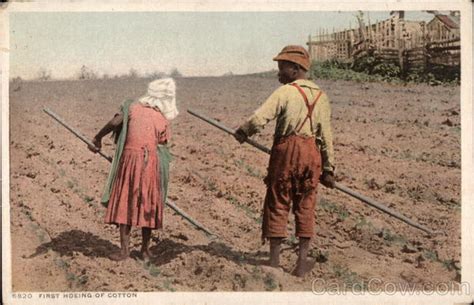 First Hoeing of Cotton Black Americana