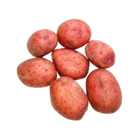 Картофель красный