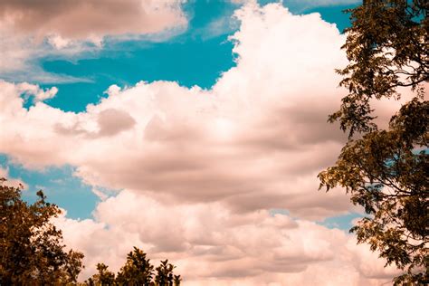images sky cloud daytime blue nature cumulus tree natural