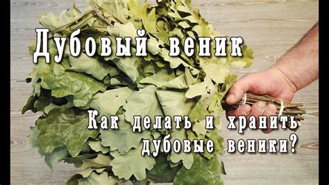 Дубовые веники. Как делать. Как хранить - YouTube