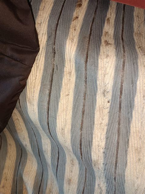 Brand New Christian Dior Demi Buff Mink Fur Swing Coat (Size 16 XL