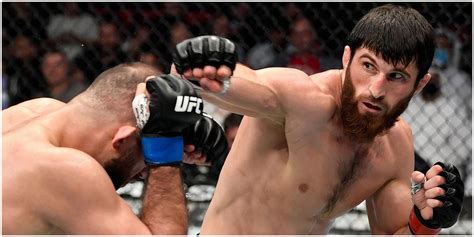 Magomed Ankalaev's Unique Offer to Alex Pereira if he Agrees to Face ...
