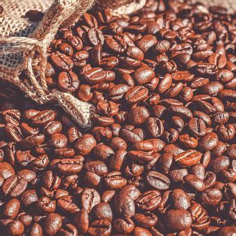 7 Tahapan Pengolahan Biji Kopi Menjadi Kopi Bubuk Siap Seduh