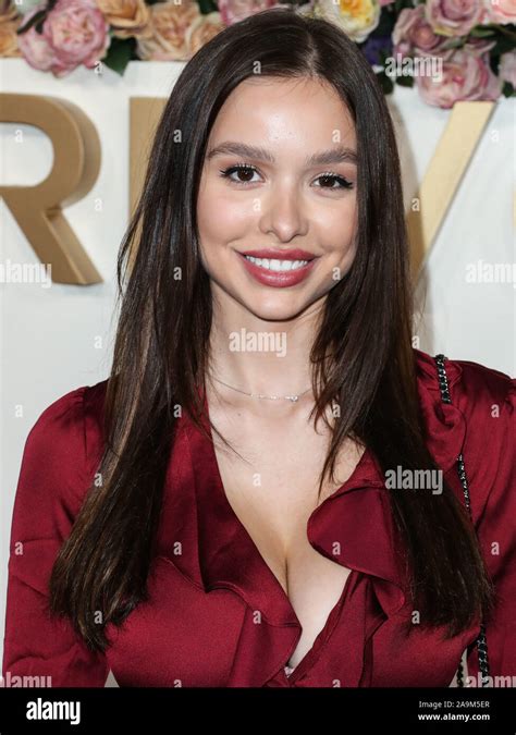 Hollywood, United States. 15th Nov, 2019. HOLLYWOOD, LOS ANGELES ...