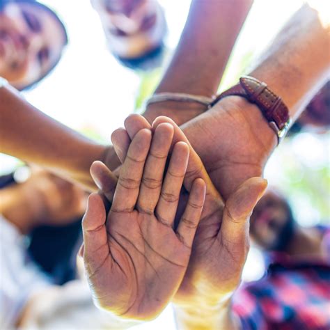 Critics are debating the latest public emmerson family business venture 20