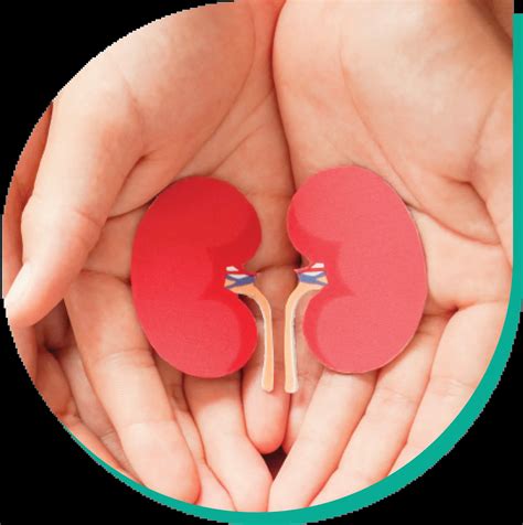 Kidney Diseases - AL BORG DIAGNOSTICS BAHRAIN