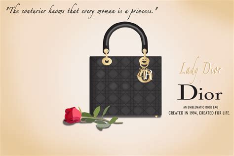 Bridge 3: Lady Dior Infographic Ad Campaign | Taylor Marie
