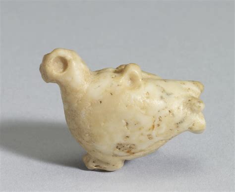 dove  walters art museum