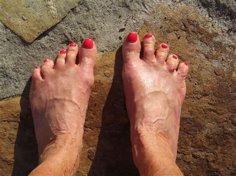 A Tale of Two Feet | Neem Tree Farms
