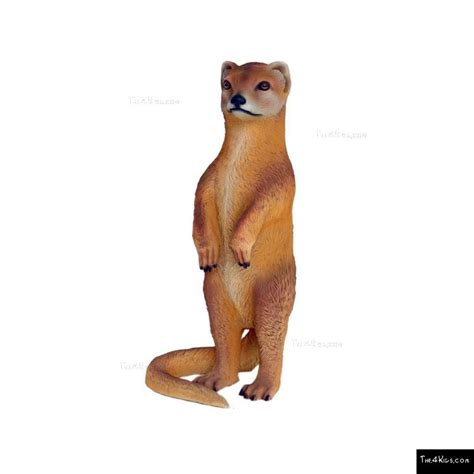 Mongoose - The 4 Kids
