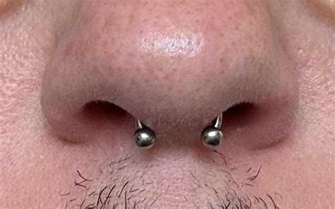Septum piercing in 2024 | Guys with nose piercings, Septum piercing men ...