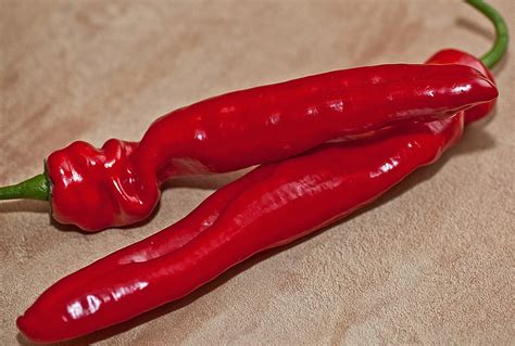 Peppers Fruit The Inside Of - Free photo on Pixabay