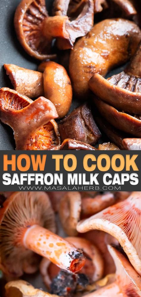 Sauteed Saffron Milk Cap Recipe | MasalaHerb.com