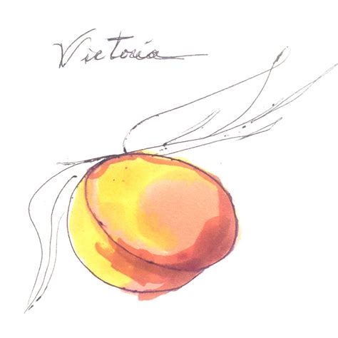 Victoriapeach - Best photos on dibujosparaimprimir.net