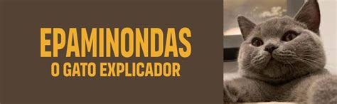 Epaminondas O Gato Explicador - Epaminondas: o gato explicador | Amazon.com.br
