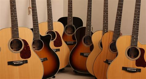 types  acoustic guitars  guide   body shapes