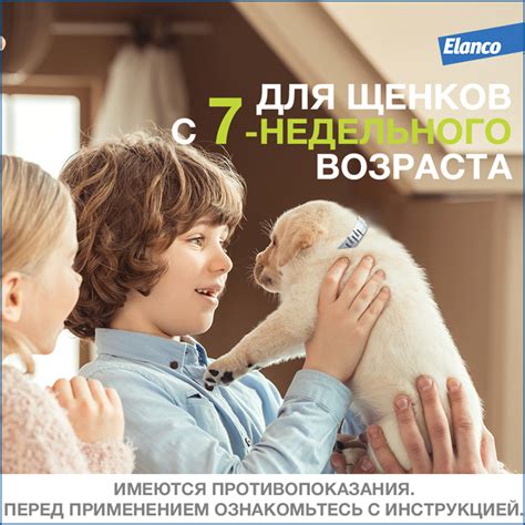 ФОРЕСТО BAYER ошейник 38см от клещей и блох для собак менее 8кг ...