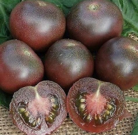 Шоколадный черри томат описание сорта фото