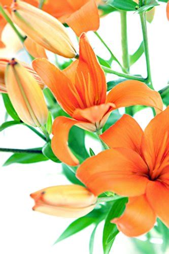 Orange Lily Bouquet (8 Stems) - With Vase | flowersnhoney | fresh flowers and the best honey